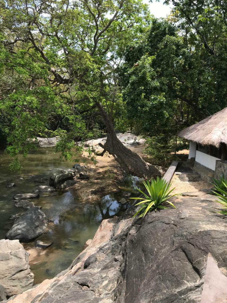 Galapita Eco Lodge Buttala Exteriér fotografie