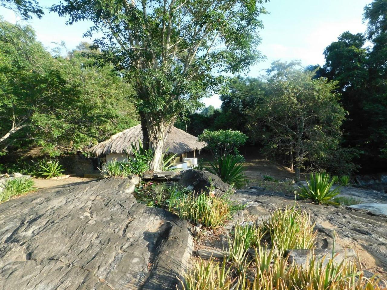 Galapita Eco Lodge Buttala Pokoj fotografie