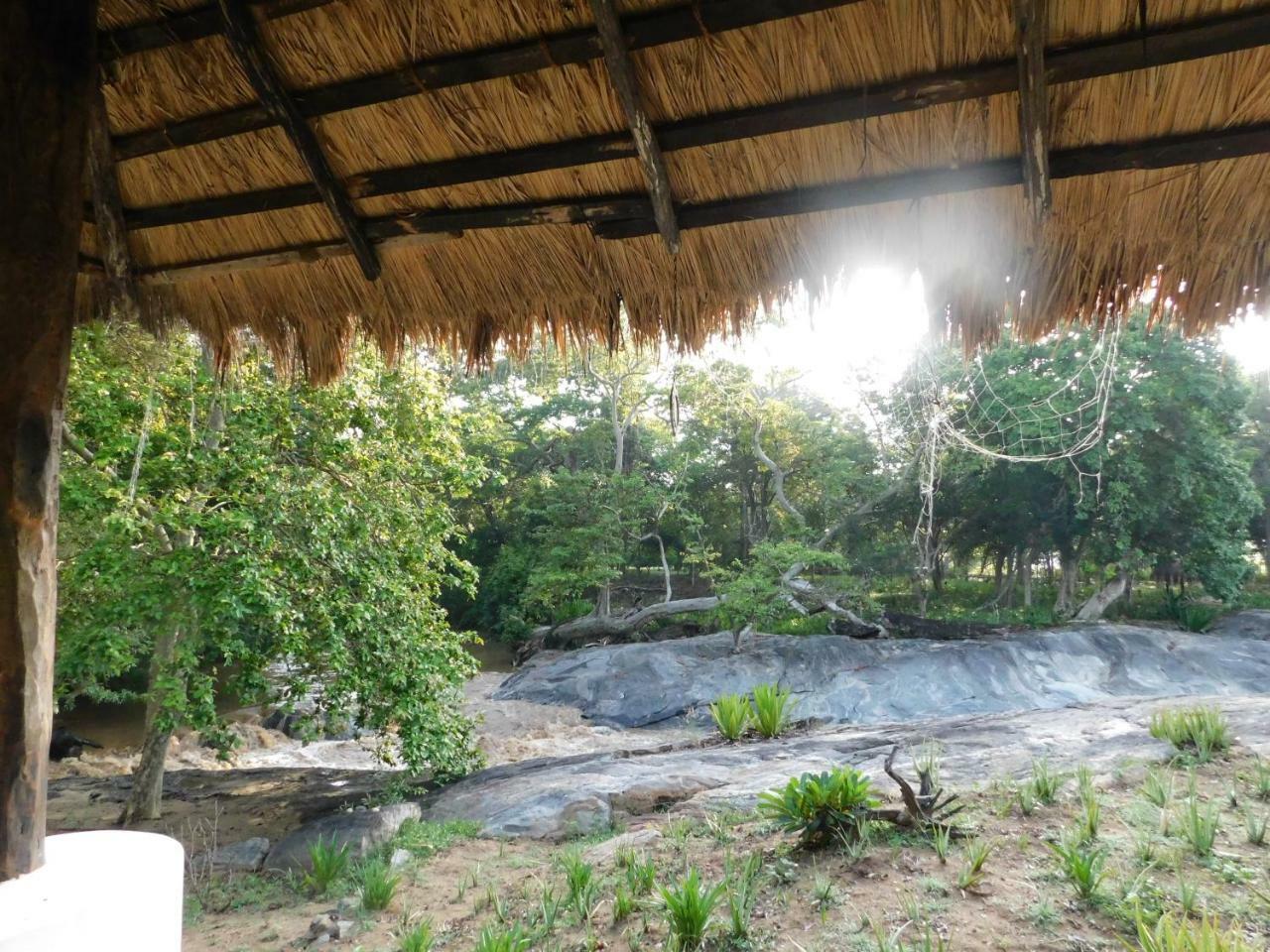 Galapita Eco Lodge Buttala Pokoj fotografie