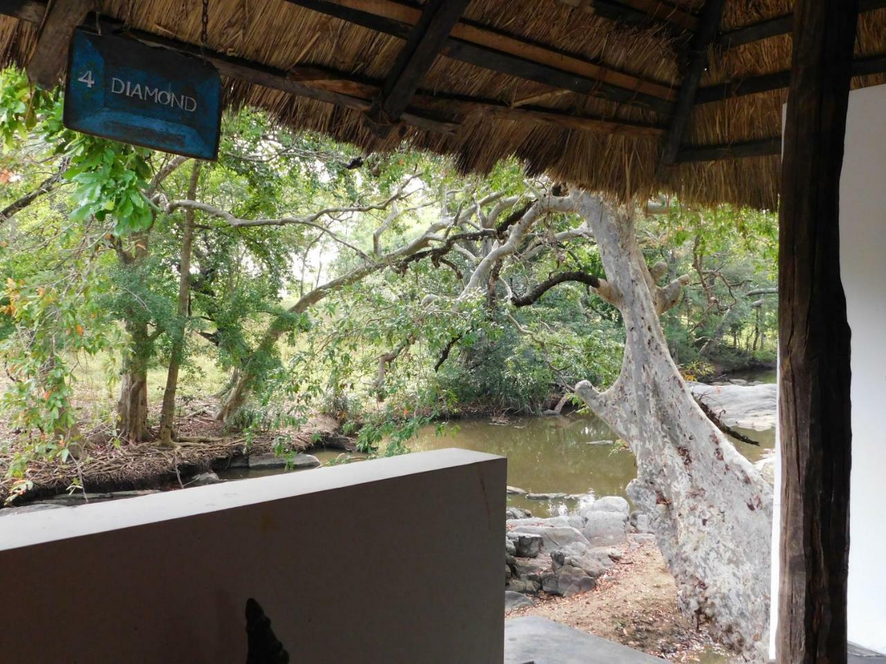 Galapita Eco Lodge Buttala Pokoj fotografie