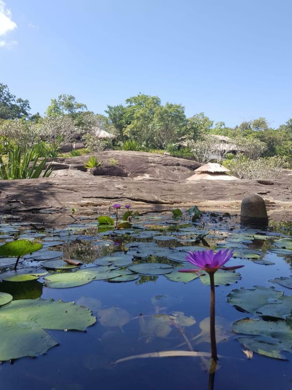 Galapita Eco Lodge Buttala Exteriér fotografie