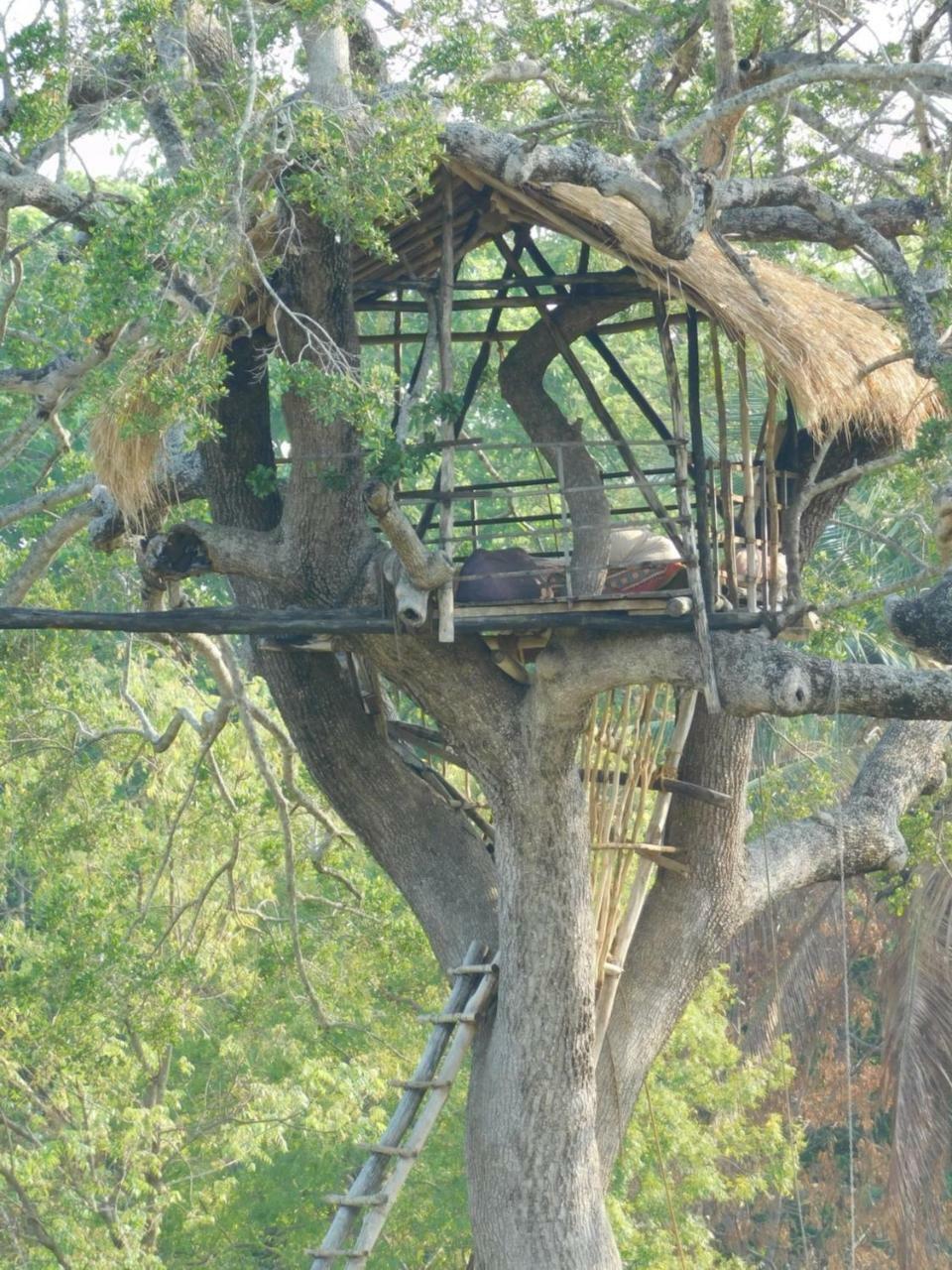 Galapita Eco Lodge Buttala Exteriér fotografie